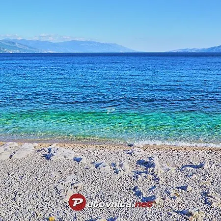 木屋 House Maja 诺维·维诺多尔斯基