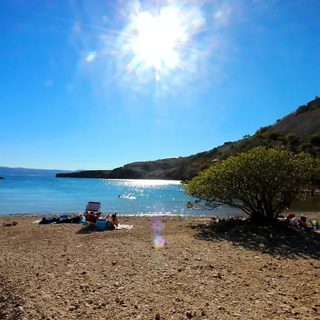 House Maja 木屋 诺维·维诺多尔斯基